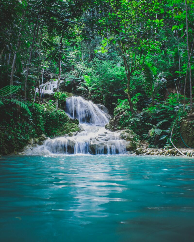 Going with the Flow: The Secret to a Happy Life